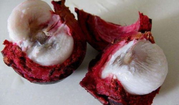 山竹视频,揭秘自然奇观背后的科学奥秘